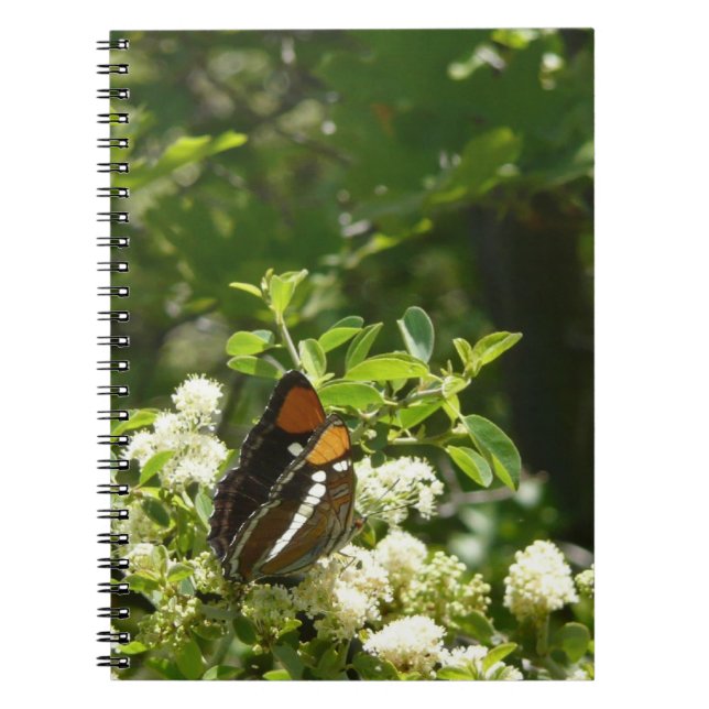 California Sister Butterfly in Yosemite Notebook (Front)