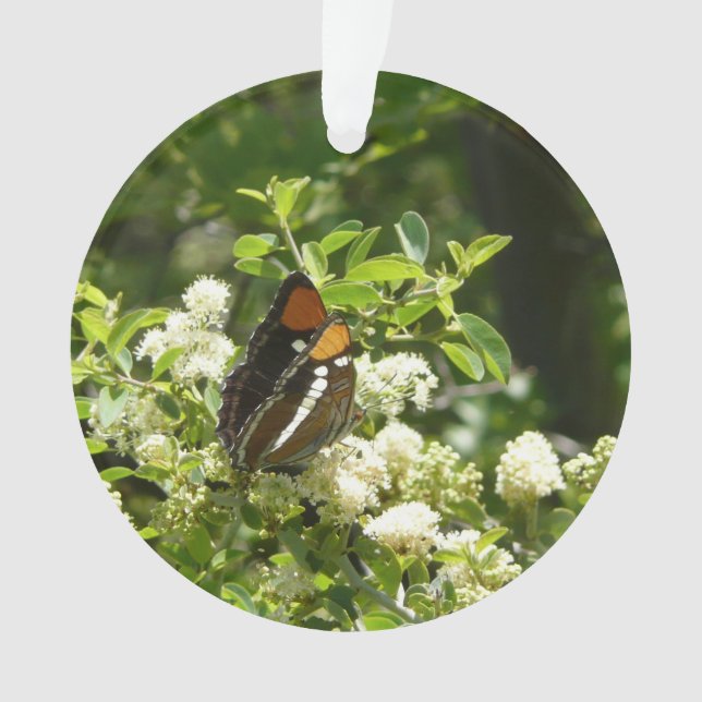 California Sister Butterfly in Yosemite Ornament (Front)