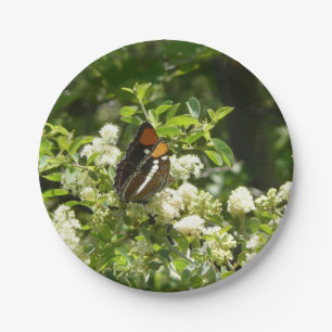 California Sister Butterfly in Yosemite Paper Plates