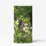 California Sister Butterfly in Yosemite Pillar Candle