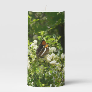 California Sister Butterfly in Yosemite Pillar Candle