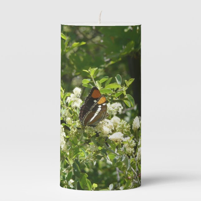 California Sister Butterfly in Yosemite Pillar Candle (Front)