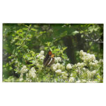 California Sister Butterfly in Yosemite Place Card Holder