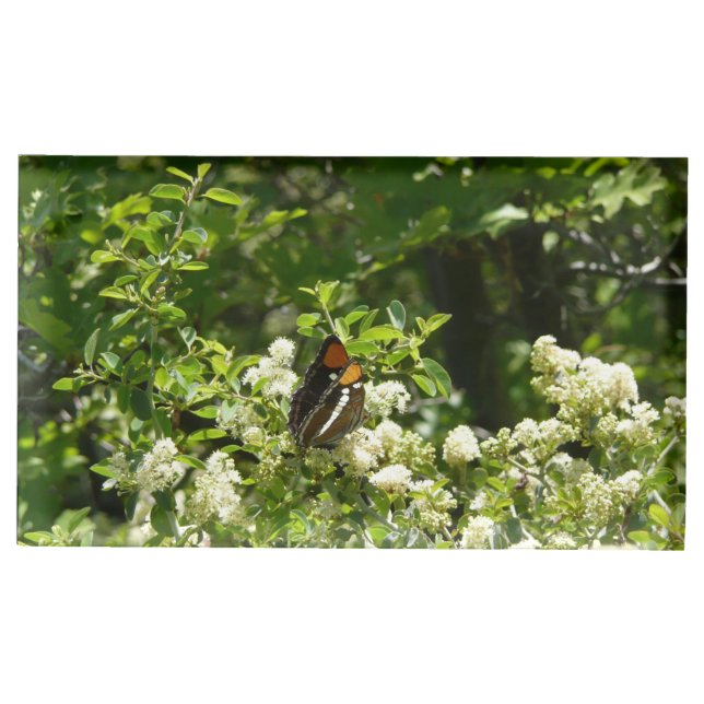 California Sister Butterfly in Yosemite Place Card Holder (Front)