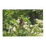California Sister Butterfly in Yosemite Placemat