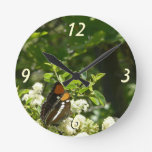 California Sister Butterfly in Yosemite Round Clock