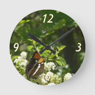 California Sister Butterfly in Yosemite Round Clock