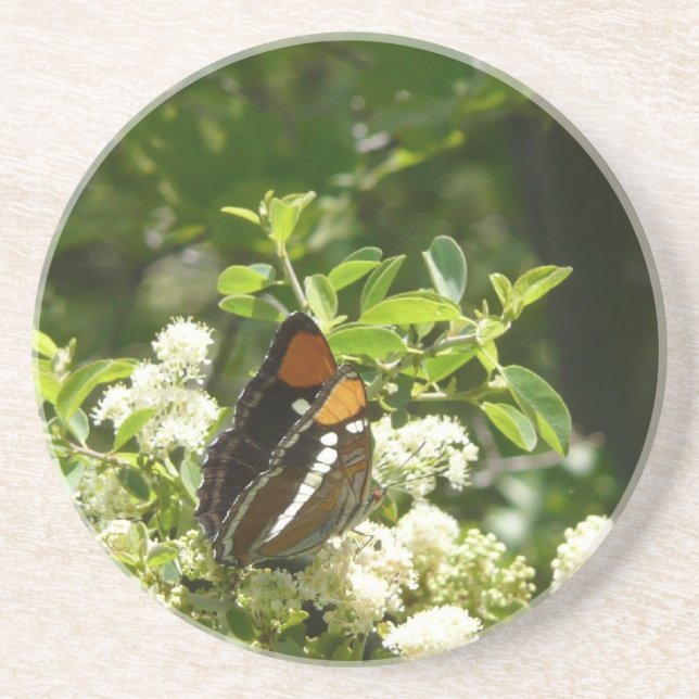 California Sister Butterfly in Yosemite Sandstone Coaster (Front)