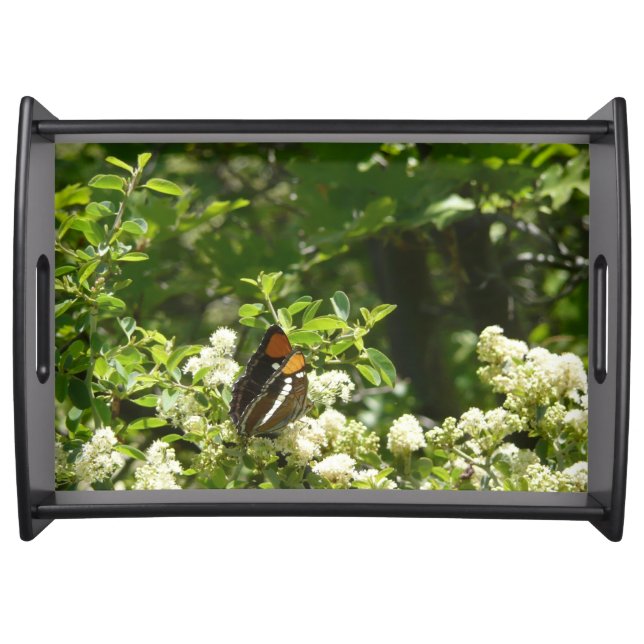 California Sister Butterfly in Yosemite Serving Tray (Front)
