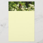 California Sister Butterfly in Yosemite Stationery