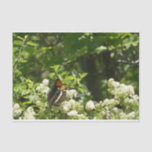 California Sister Butterfly in Yosemite Tissue Paper