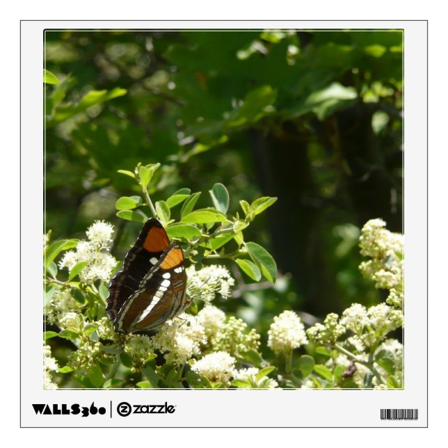 California Sister Butterfly in Yosemite Wall Decal (Front)