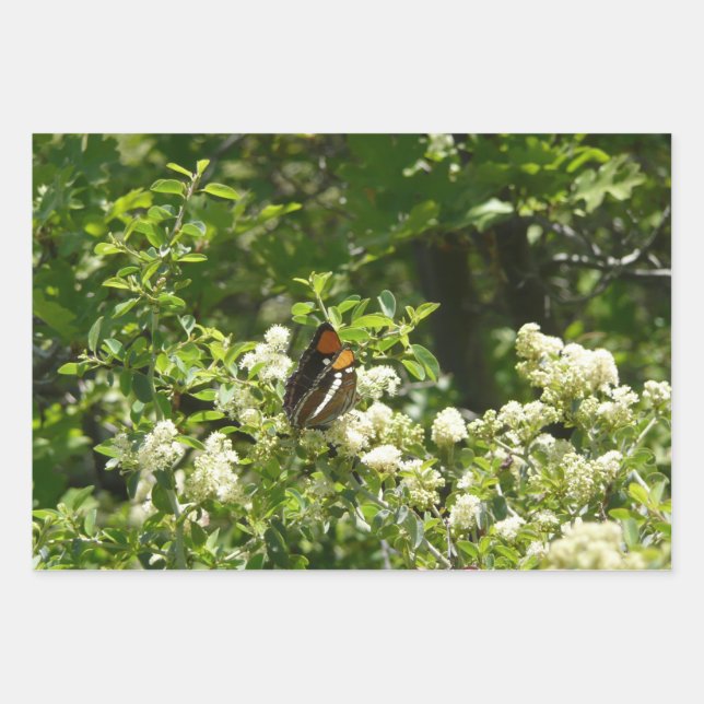California Sister Butterfly in Yosemite Wrapping Paper Sheets (Front)