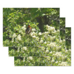 California Sister Butterfly in Yosemite Wrapping Paper Sheets