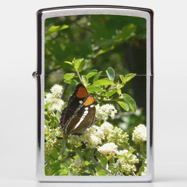 California Sister Butterfly in Yosemite Zippo Lighter (Front)