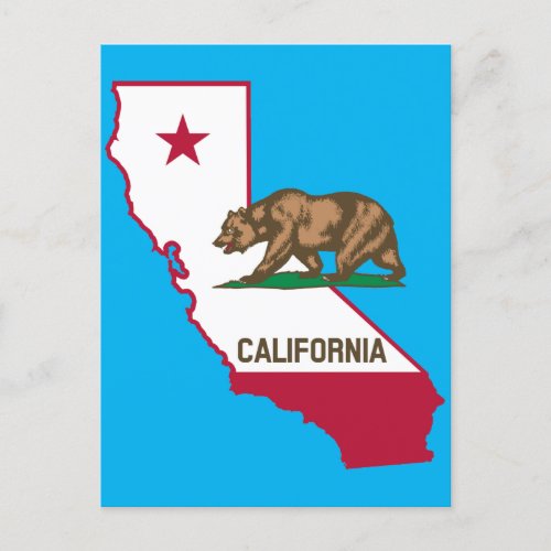 California State Bear  Postcard