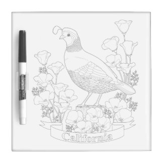 California State Bird and Flower Coloring Page Dry Erase Board