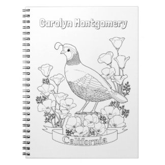 California State Bird and Flower Coloring Page Notebook