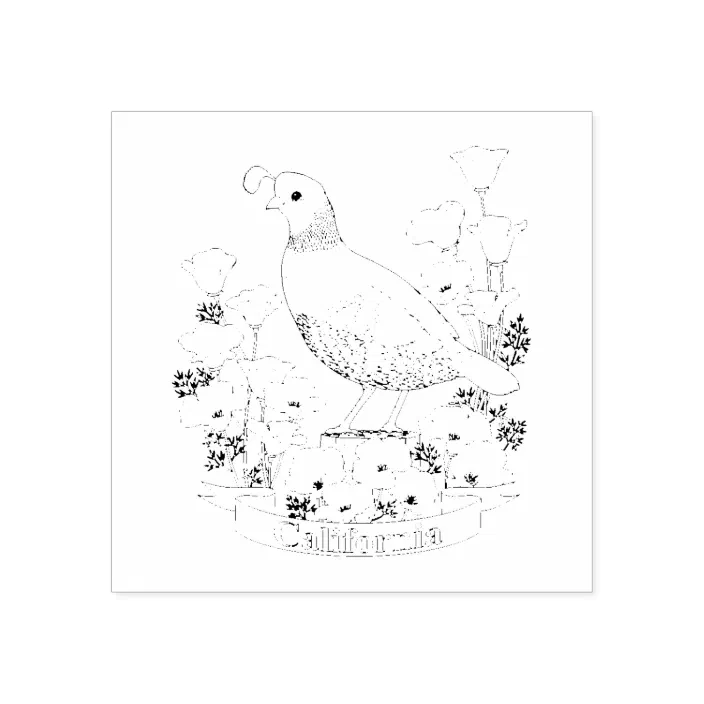 california state bird and flower coloring page rubber stamp zazzle com