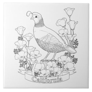 California State Bird and Flower Coloring Page Tile