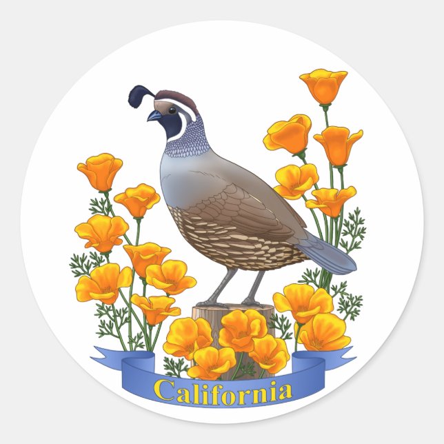 California State Bird Quail & Golden Poppy Classic Round Sticker (Front)