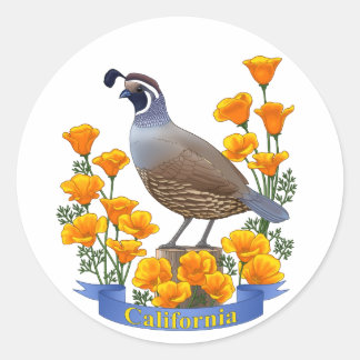California State Bird Quail & Golden Poppy Classic Round Sticker