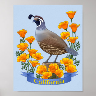 California State Bird Quail & Golden Poppy Poster