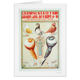 California State Fair 1909 Cards