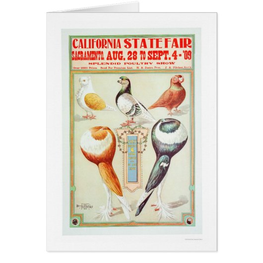 California State Fair 1909 Cards (Front)