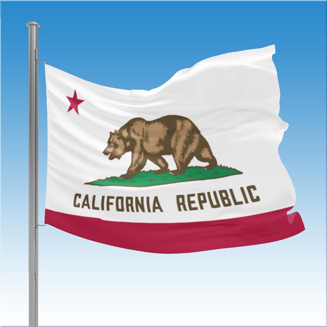  California State House Flag (California State House Flag)