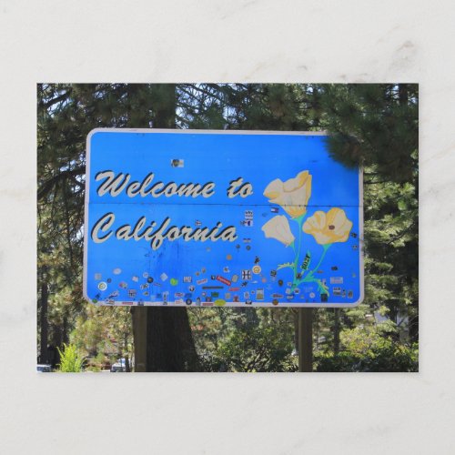California State Line Postcard