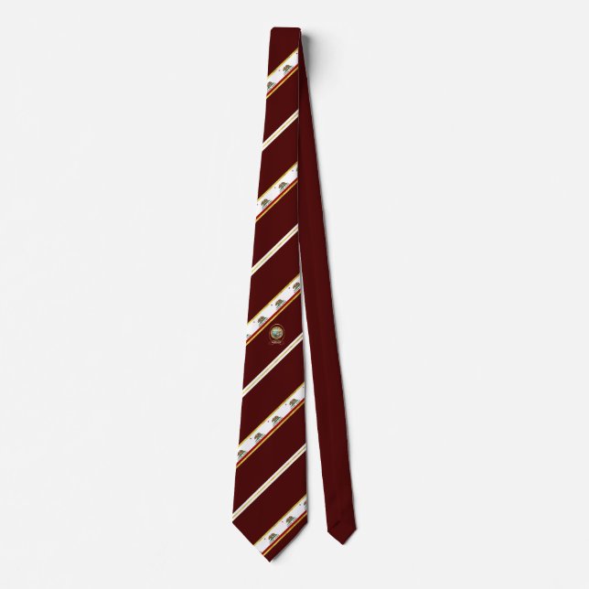 California stripes flag neck tie (Front)