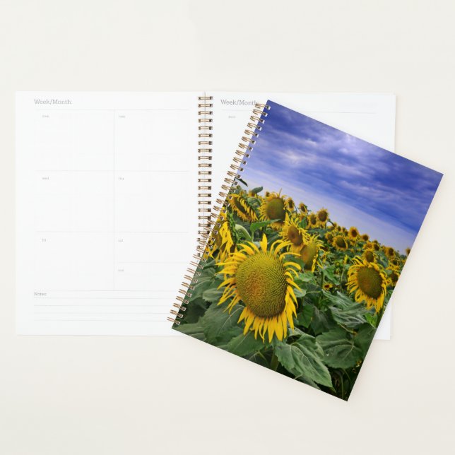 California Sunflower Fields Planner (Display)