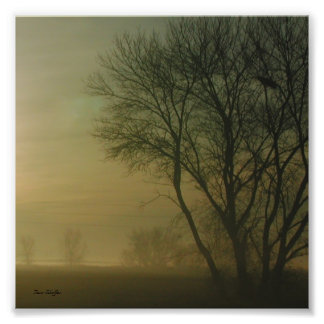 California Sunrise Tree Silhouette Photograph