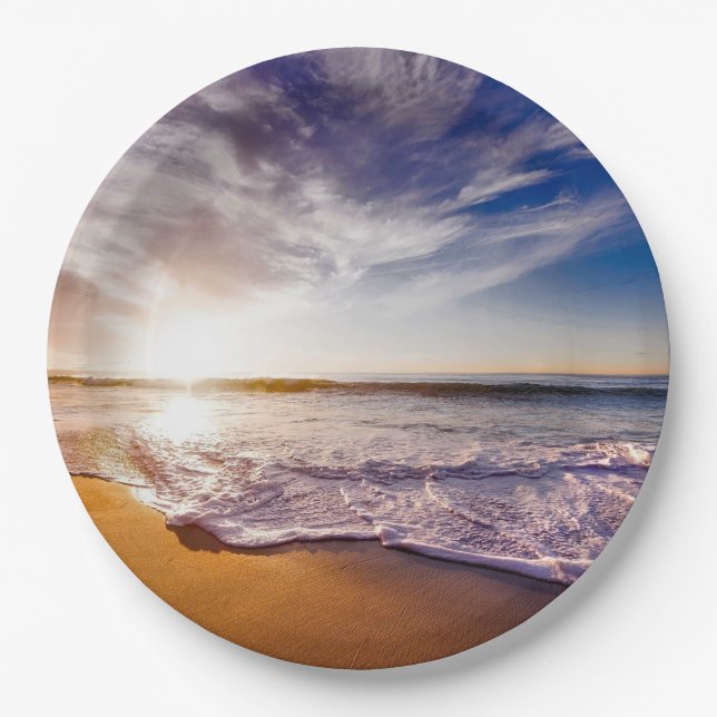 California sunset...breathtaking paper plates (Front)