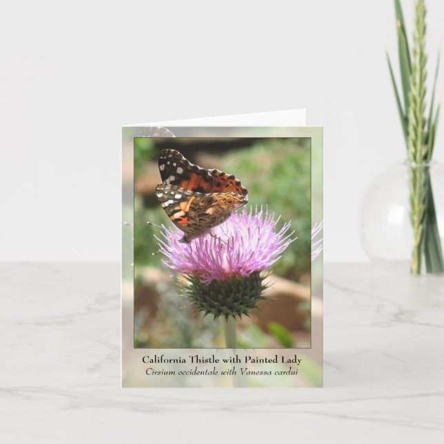 California Thistle with Painted Lady - Notecard (Front)