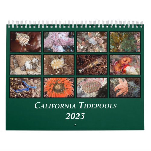 California Tidepools Calendar