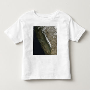 California Toddler T-shirt