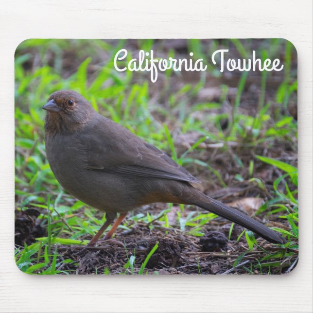 California Towhee Mouse Pad (Front)
