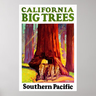 California Travel Poster Redwoods Art Southern