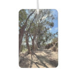 California trees in autumn sun.. air freshener
