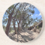 California trees in autumn sun.. coaster