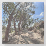 California trees in autumn sun.. stone coaster