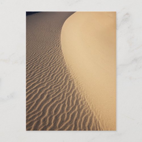 California Valley Dunes Postcard