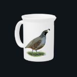 California Valley Quail Beverage Pitcher<br><div class="desc">The California,  or Valley Quail is a common little bird but not often seen as they scurry about in the underbrush in groups called coveys.</div>