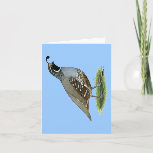 California Valley Quail Card (Front)