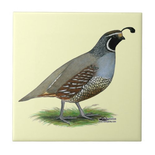 California Valley Quail Ceramic Tile