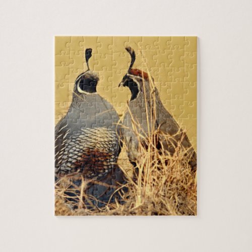 California Valley Quail Jigsaw Puzzle