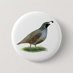 California Valley Quail Pinback Button