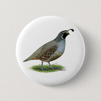 California Valley Quail Pinback Button